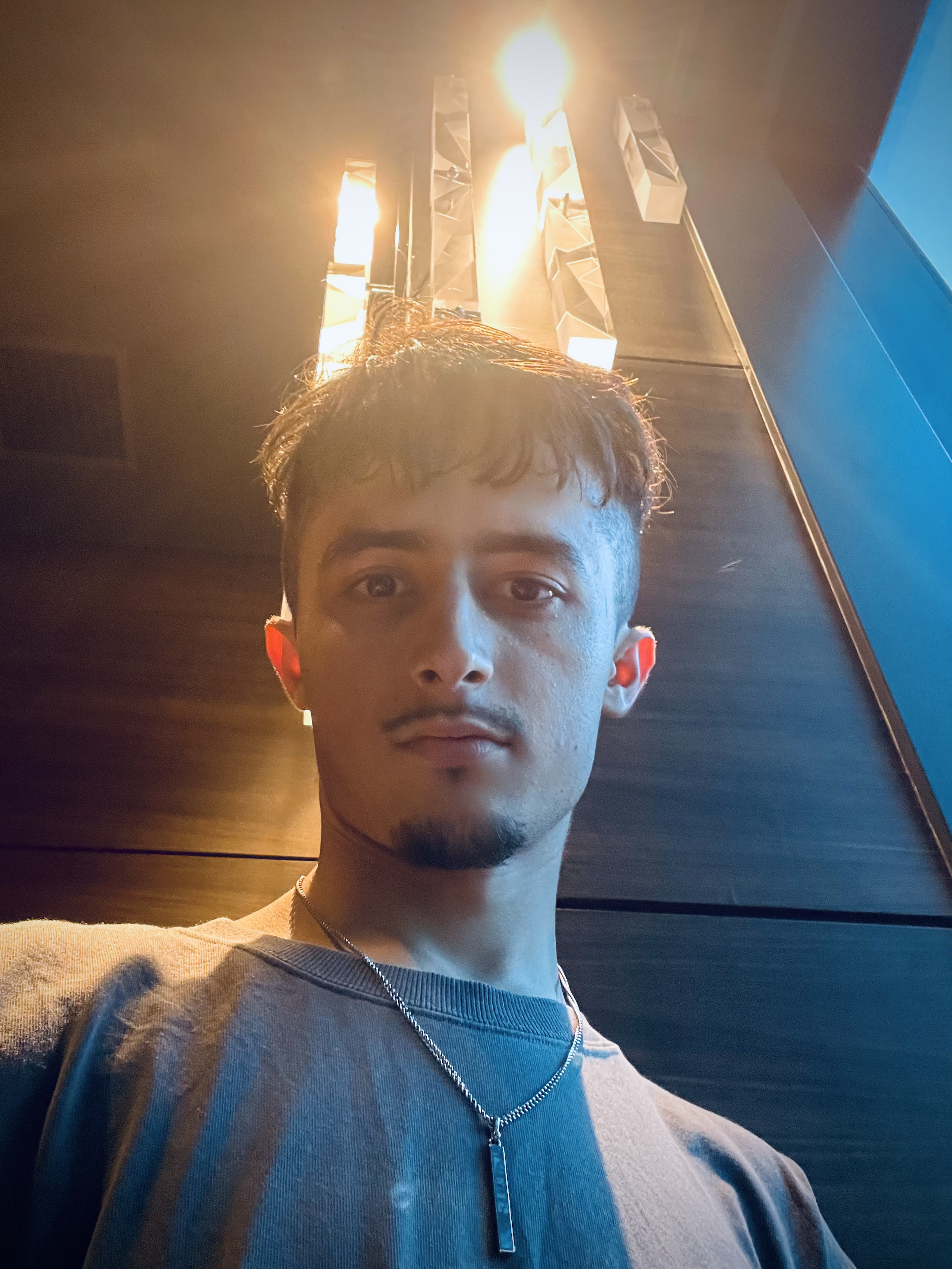 tariq arian portrait